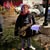 Andrea Mantini Muntean's profile image