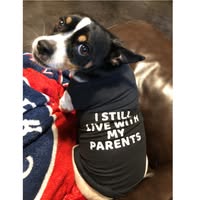 Lauren Macias's profile image