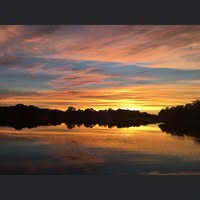 Paula Diane's profile image
