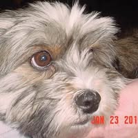 Dona Schulz-Waite's profile image