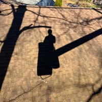 RJ Harris's profile image