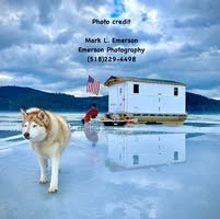 Tim Montgomery's profile image