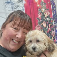 Michelle Linkem's profile image