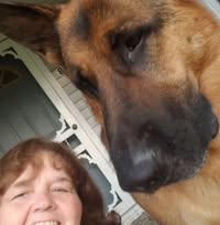 Sue Havens's profile image