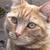 Cole King's profile image