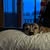 Joan Lee McMaster's profile image