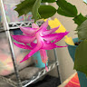 Doris S.'s profile image
