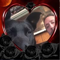 Brian Sturtevant's profile image