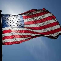 David Clint Kolb's profile image