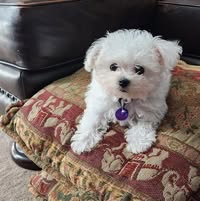 Pam Miley-Byers's profile image