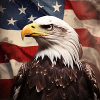 Ronnie Kreb's profile image
