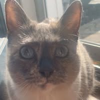 Laura Bradley's profile image