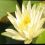 Joce H.'s profile image