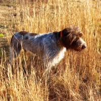 Tony Chirles's profile image