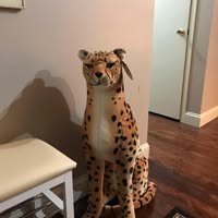 Yolanda Bates's profile image
