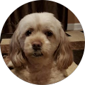 Profile Photo of Iwona Stankiewicz