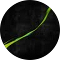 Profile Photo of Tom Romanowski