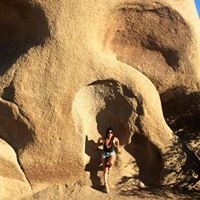S. M.'s profile image