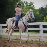 Lana Plas's profile image