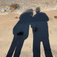 Mark K. Jubb's profile image