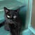 Christa Silevinac's profile image