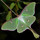 Allison0704's profile image
