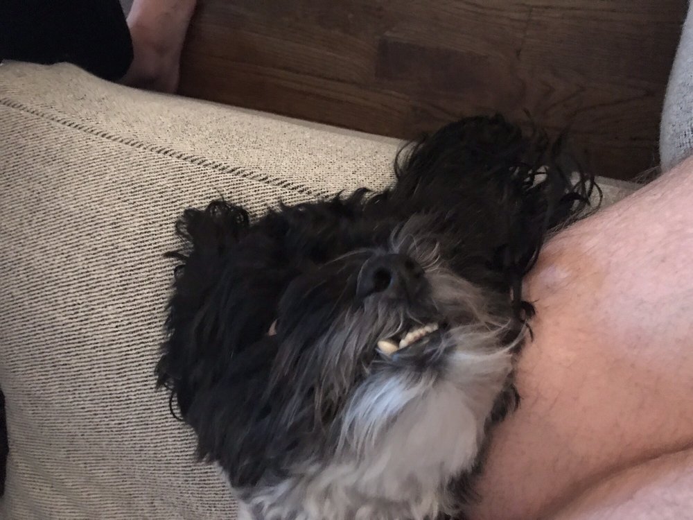 Mike w.'s profile image