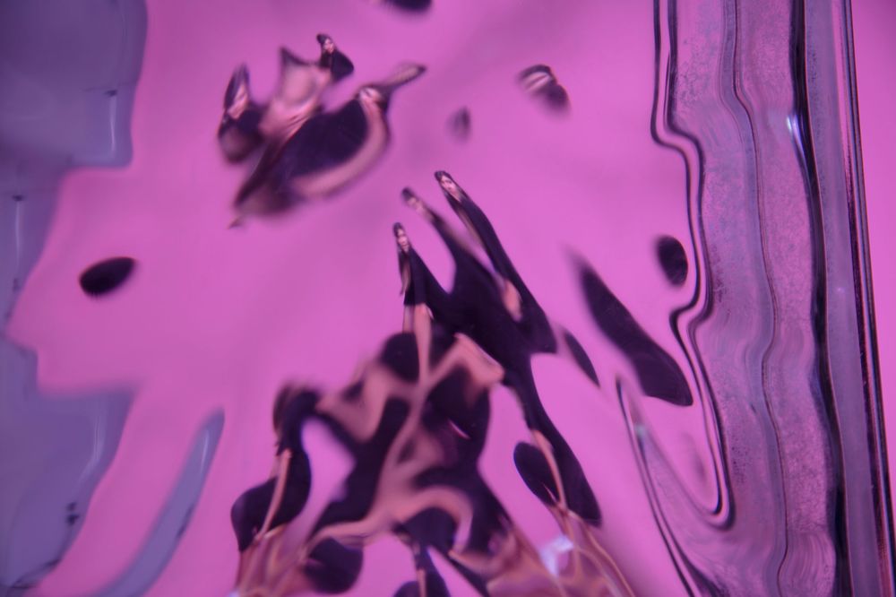 Eliza N.'s profile image