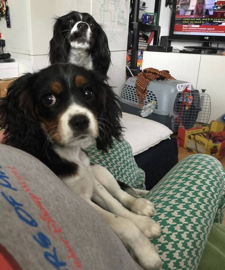 Margot K.'s profile image