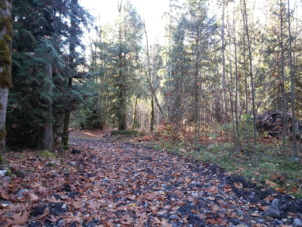 StarGazer S.'s profile image