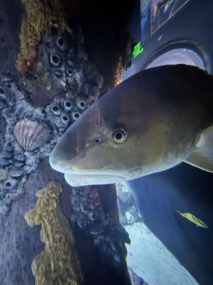 Emily K.'s profile image