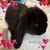 Alicia H.'s profile image