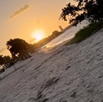 Tasha Testa's profile image