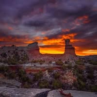 Randy Toland's profile image