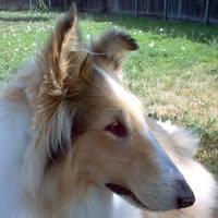 Lisa Miller's profile image