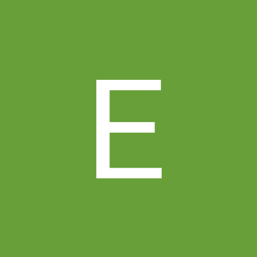 E Reyes's profile image