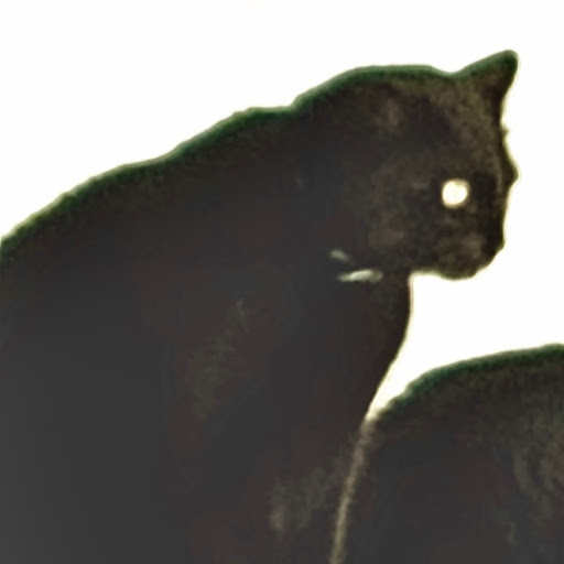 J'onn O'Ryan's profile image