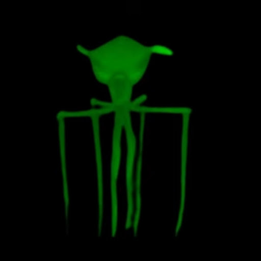 Susan Tolhurst's profile image