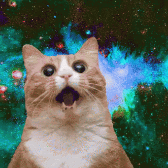 Tripping Cats's profile image