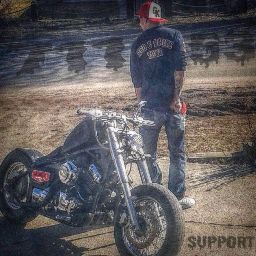 Shane Braniff's profile image