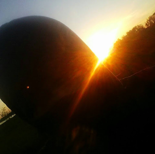 WRest Wreck's profile image