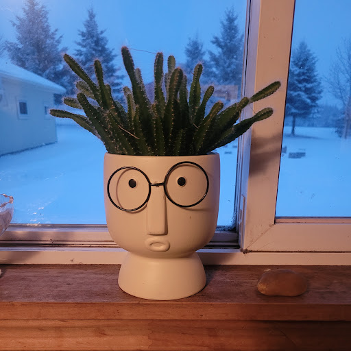 Nicholas Clarke's profile image