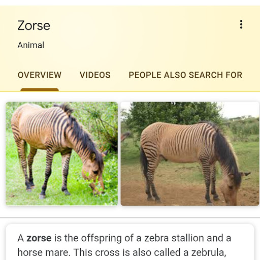 The One The Only's profile image