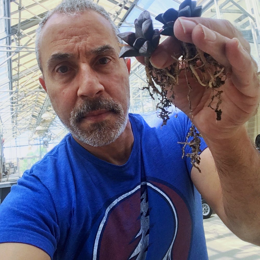 George T.'s profile image