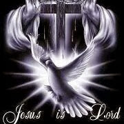 Donn King's profile image