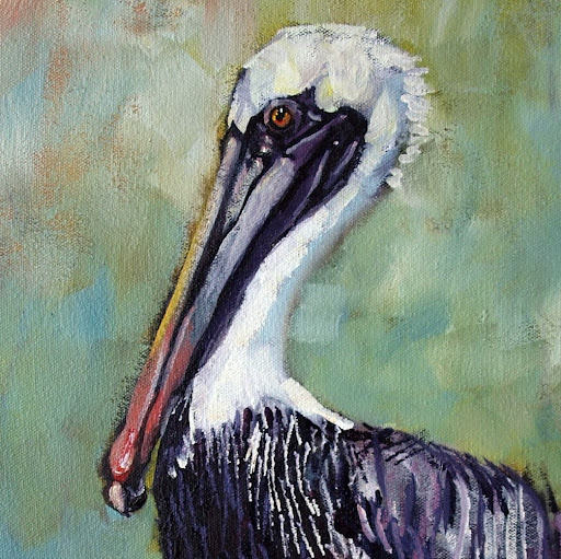 pelican antics's profile image