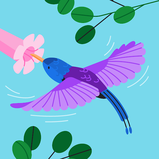 Barbara Cushing's profile image