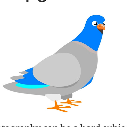 Birdie Num Num's profile image