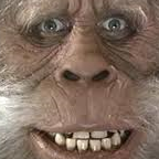 Rick Sheese's profile image