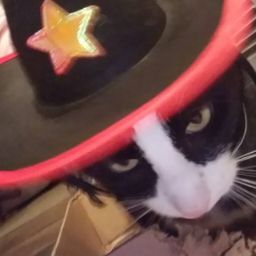 Jeast's profile image